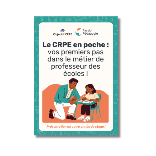 Découvrez ce qui vous attend durant votre année de stage